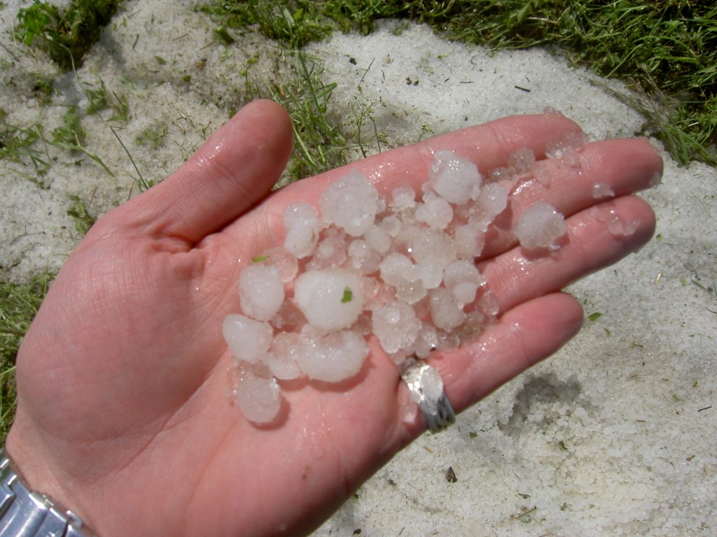 Schwere Hagelunwetter Mit Schaden An Wiens Weingarten Osterreichische Hagelversicherung